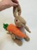 Peter Rabbit, Free Toy Knitting Pattern for Kids  Downloadable PDF, English