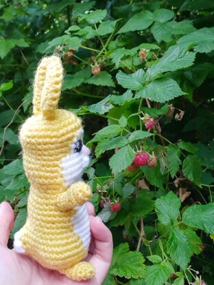 Crochet Bunny Happy Hops from My story book Who wants Happy Hops's Toothbrush?