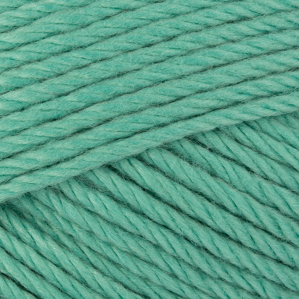 Choo Choo Train (419)