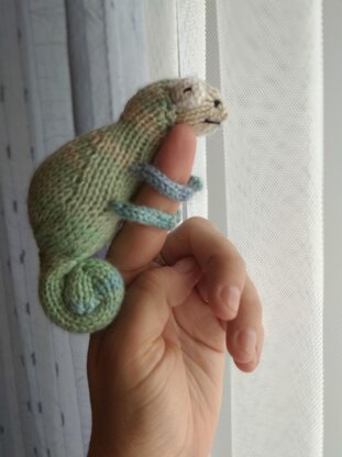 Chameleon knitting pattern