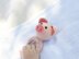 Pig crochet pattern baby rattle toy Amigurumi teether ring
