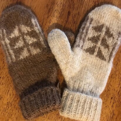 Berkshire mittens and hat