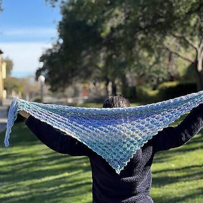 Dandan cable shawl