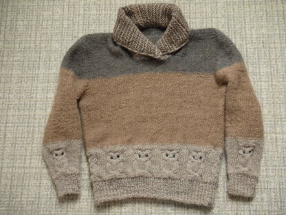 Owly Northgate Pullover