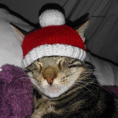 Knitted Christmas jumpers and hat for pussy cats!