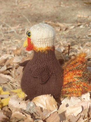 Tom the Turkey knit flat
