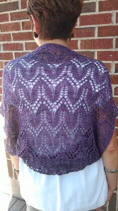 Lace Draped Shrug