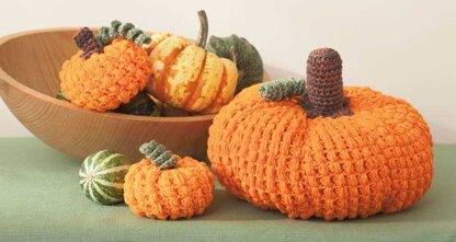 Pumpkins in Lily Sugar 'n Cream Solids