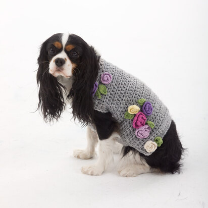 Lady Who Lunches Dog Sweater in Lion Brand Vanna's Choice Multi and Bonbons Cotton- L30252