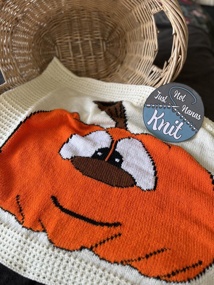 Pumpkin discount baby blanket