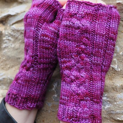 Mount Temple Fingerless Mitts