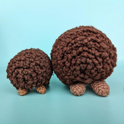 Hedgehogs