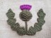 Knitted Thistle