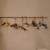 Band of birds