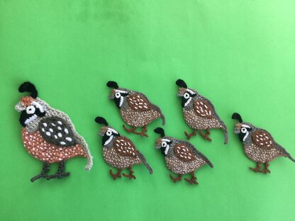 Quail