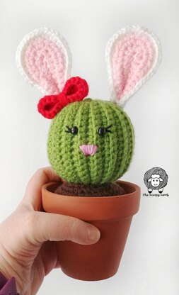 Penny the Bunny Cactus