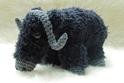 Marta the Musk Ox