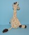 Jason The Giraffe
