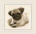 Vervaco Pug Dog Cross Stitch Kit - 21cm x 21cm