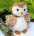 Baby Barn Owl - Chocolate Orange Cover