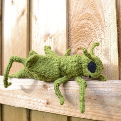 Cricket - knitting pattern