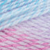Raspberry (860)