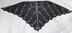 PÃ¨re lachaise shawl