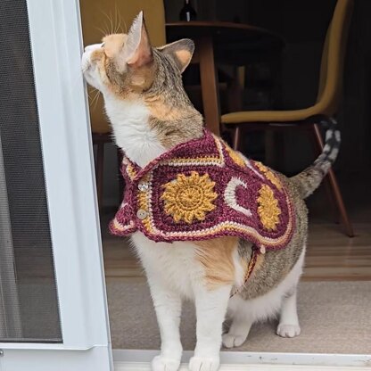 Sun and Moon Cat Sweater