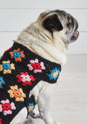 Pet Coat Knitting Patterns- In the Loop Knitting