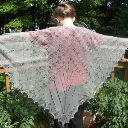 Lotus Pod Shawl