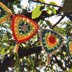 Boho Party Garland Bunting