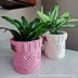 Crochet Plant Pot Cover