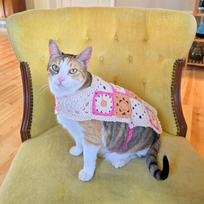 Daisy Cat Sweater