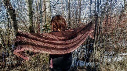 Krissy's Shawl