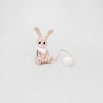 Micro Jerboa