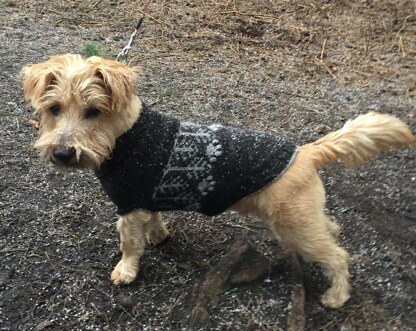 Walkies Sweater