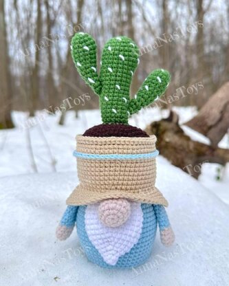 Gnome-cactus in a pot 2
