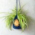 Sun and Moon Plant Hanger