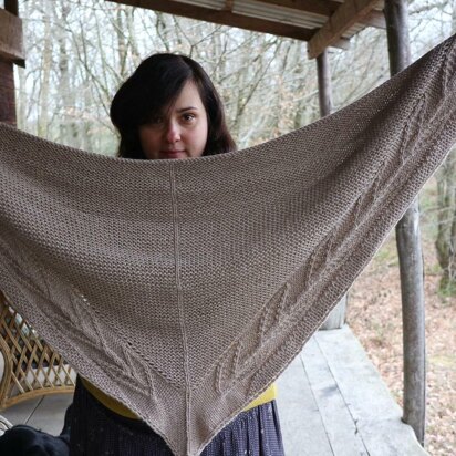Trophy Shawl Revisited