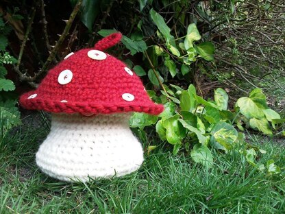 Toadstool / Mushroom Project pouch