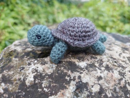 Little turtle