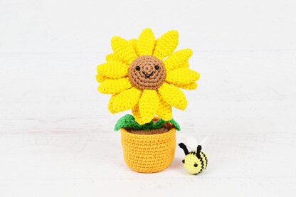 Potted Sunflower