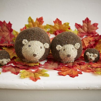 Haggis Hedgehog & Family