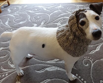 Dog Snood or Neck Warmer