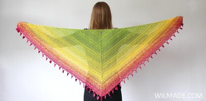 Lovely Luisa Shawl