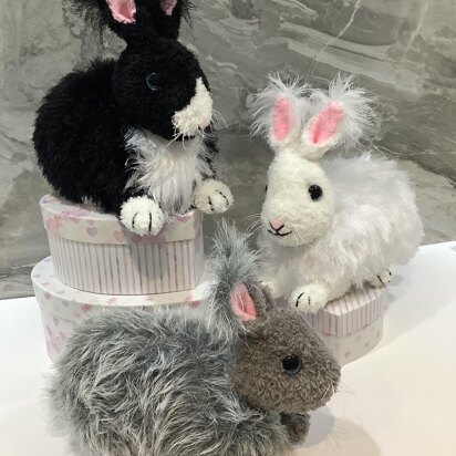 Angora Bunny Rabbits