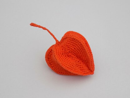 Crochet Physalis (Chinese lantern)