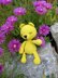 Little Big Bear