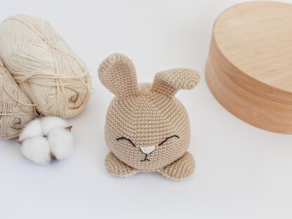 Crochet Kit for a Cute Amigurumi Animal Toy Bella the Baby Bunny DIY  Kit/crafting Kit/starter Pack 