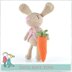 Baby Bunny With Carrot and Vest